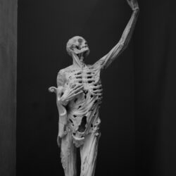 July - Art of Decay: Bone Art and Taxidermy