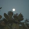 August - Full Moon Ritual Polina Kuzovkova QenurXA5oA0 Unsplash 1 100x100