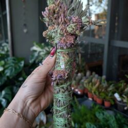 ostara: spring equinox craft