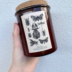 the entomology bugs candle: 300g amber jar