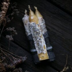 botanical altar candles: romance, single