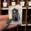 unmounted beetle large