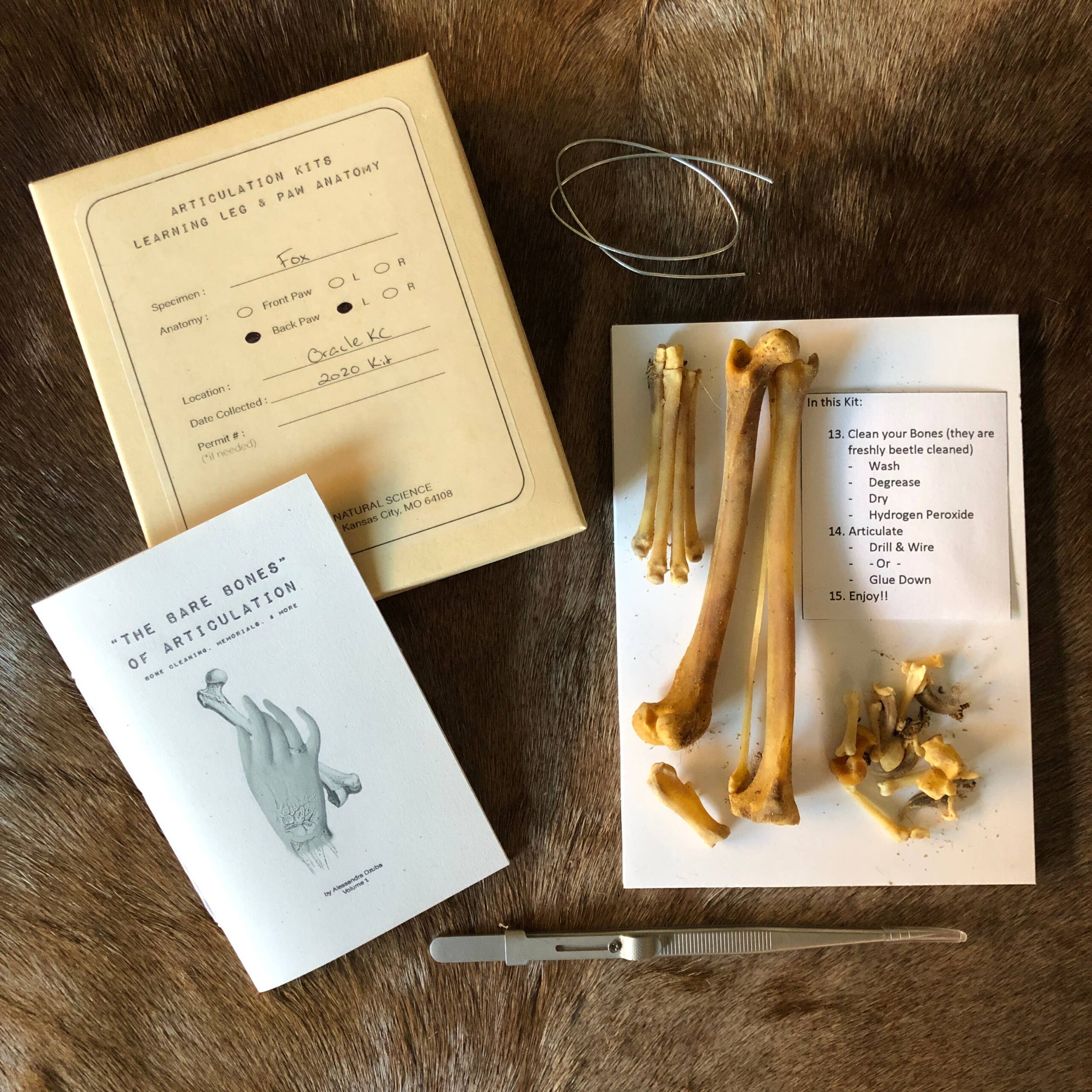 bone articulation kit bone articulation kit