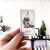 raccoon hard enamel pin