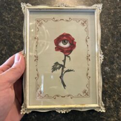 framed rose & eye 5x7