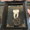 framed tooth 5x7