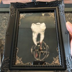 framed tooth 5x7