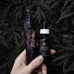 lucid dreams spell candle