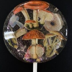 mushroom dream lollipops