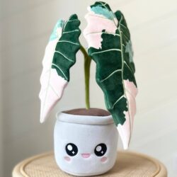 variegated alocasia amazonica plushie