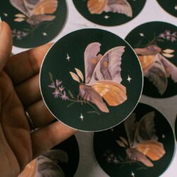 wildflower moth 3" vinyl sticker