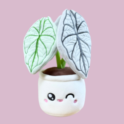 alocasia silver dragon plushie