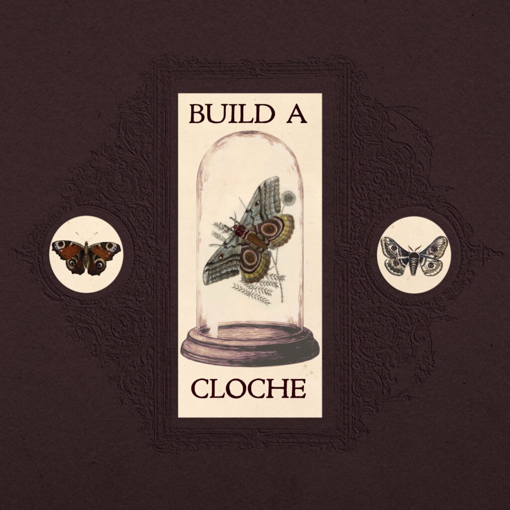 september entomology cloche workshop