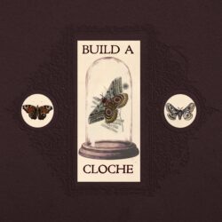 september entomology cloche workshop