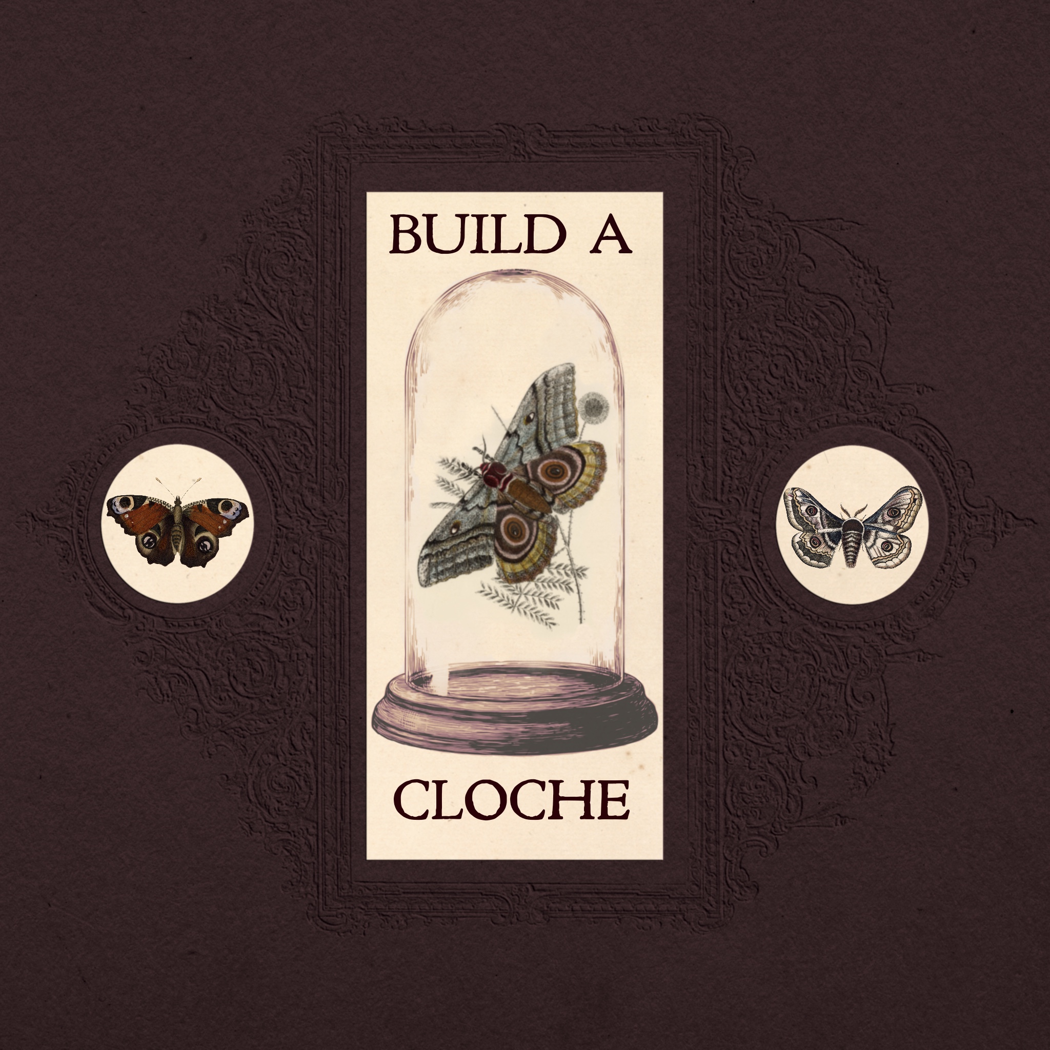 september entomology cloche workshop september entomology cloche workshop
